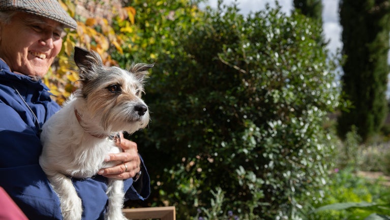 Visitors relaxing in the Mediterranean Garden with their dog at Beningbrough, North Yorkshire